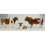 Beswick Red Friesian family comprising Bull 1439B, cow 1362B and lying calf 2690,