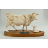Beswick Connoisseur Charolais cow and calf 2648/2652