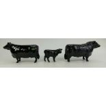 Beswick Aberdeen Angus family comprising bull 1562,