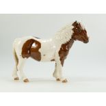 Beswick skewbald Shetland pony Hollywell Dixie, collectors club special 1995,