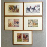 A set of five poultry prints in oak frames, printed signature H.Hoyle to two, A F Lydon and others.