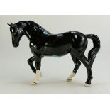 Beswick Stocky Jogging Mare in black produced for the BCC in 2005. Model number 855.
