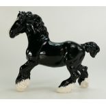 Beswick Cantering Shire Horse, black gloss produced for the BCC in 1996. Limited edition of 735.