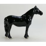 Beswick Black Fell pony 1647