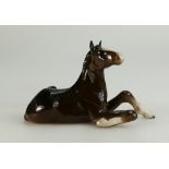 Beswick shire foal lying 2360