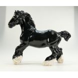 Beswick cantering shire 975 black gloss, collectors club special 1996,