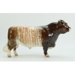 Beswick Shorthorn bull 1504