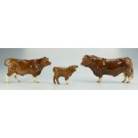 Beswick Limousin family comprising Bull 2463B, cow 3075B and calf 1827E,