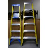 Werner branded step ladders (2)