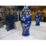 A Chinese blue and white Porcelain covered vase decorated with prunus branches concentric circle