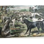 A hand-coloured Victorian lithograph depicting types of hounds, mounted & framed.