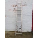 A Starlight triple extension aluminium ladder, with ribbed rungs, straps, etc.