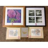 Miscellaneous framed prints, sets, floral, gardens, dried flowers, etc. (A lot)