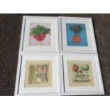 A pair of framed David prints of vegatables; and a pair of framed photographs of radishes & carrots