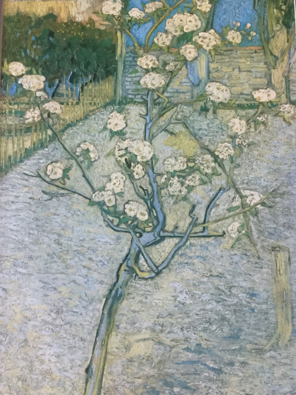 A framed Van Gogh print depicting a tree in blossom foilage .(2) - Image 3 of 3