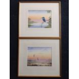 Peter Hayman, watercolours, a pair, herons in flight and kingfisher, signed , mounted & framed.