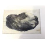 Eugen Hersch, watercolour, dog resting, intialled, mounted & unframed. (6in x 4in)