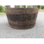 An oak barrel planter, the tub with three metal bands binding staves.