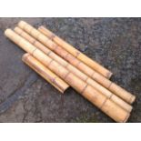 Five garden bamboo posts. (5)