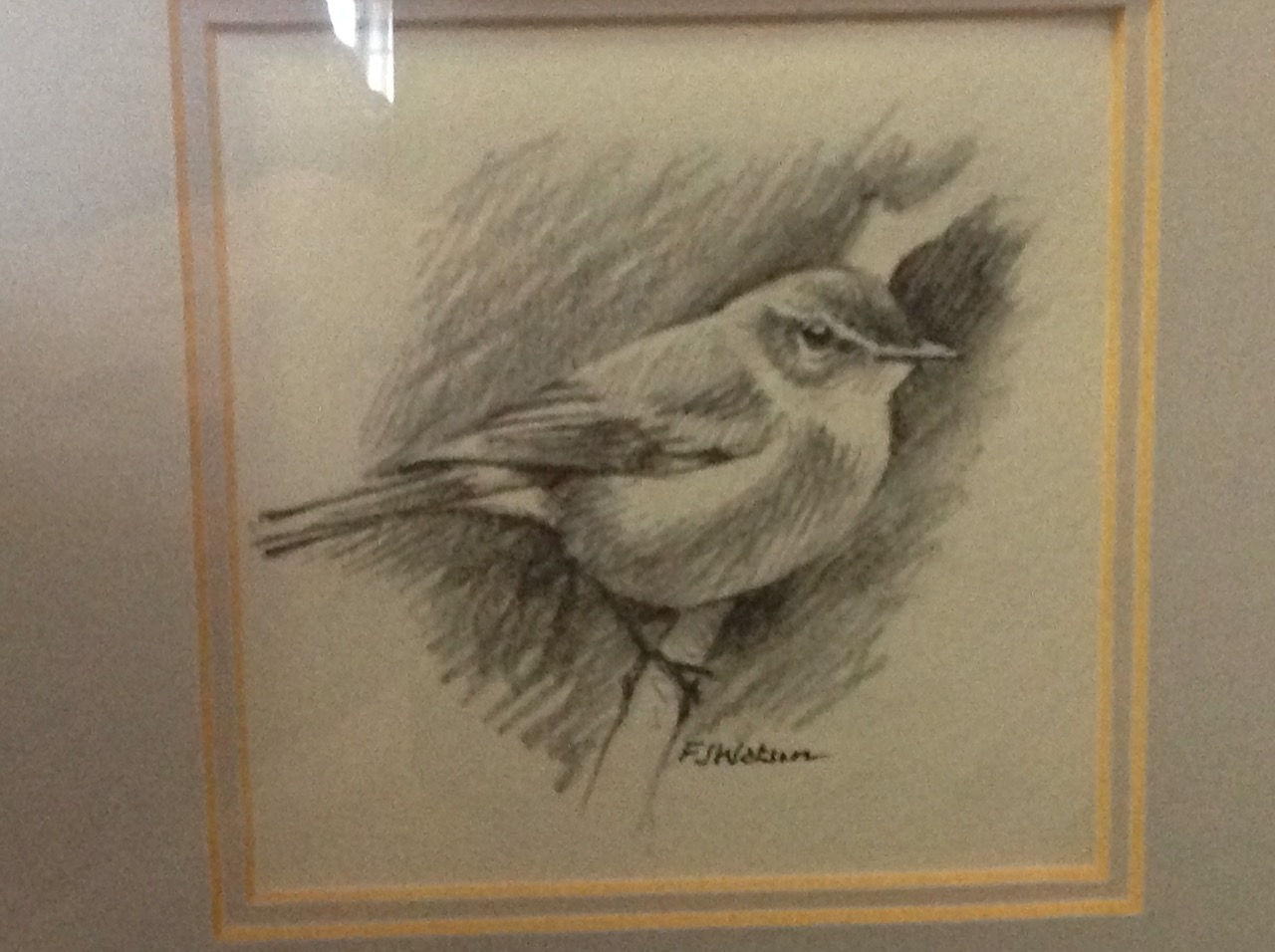 FJ Watson, a pencil study of bird, signed, mounted & framed - Image 2 of 3