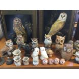 A pair of framed owl prints by Dick Twinney, and a collection of ceramic and moulded owls - porcelai