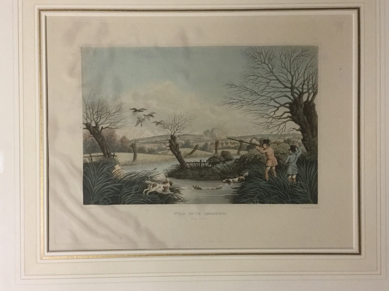 Robert Havell Junior, nineteenth century hand-coloured steel engraving - Image 3 of 3