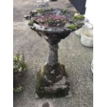 A composition stone birdbath