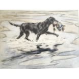 Henry Wilkinson, coloured etching of retriever with duck, signed and numbered