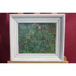 Joanna Shelton (nee Jackson 1916 - 1991), oil on canvas - a garden, signed, in painted frame, 24.