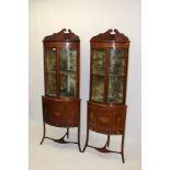 Pair of Edwardian rosewood satinwood crossbanded and inlaid bow front standing corner cupboards,