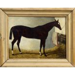 Early Victorian English School oil on canvas - a dark bay hunter in a stable, in pine frame,