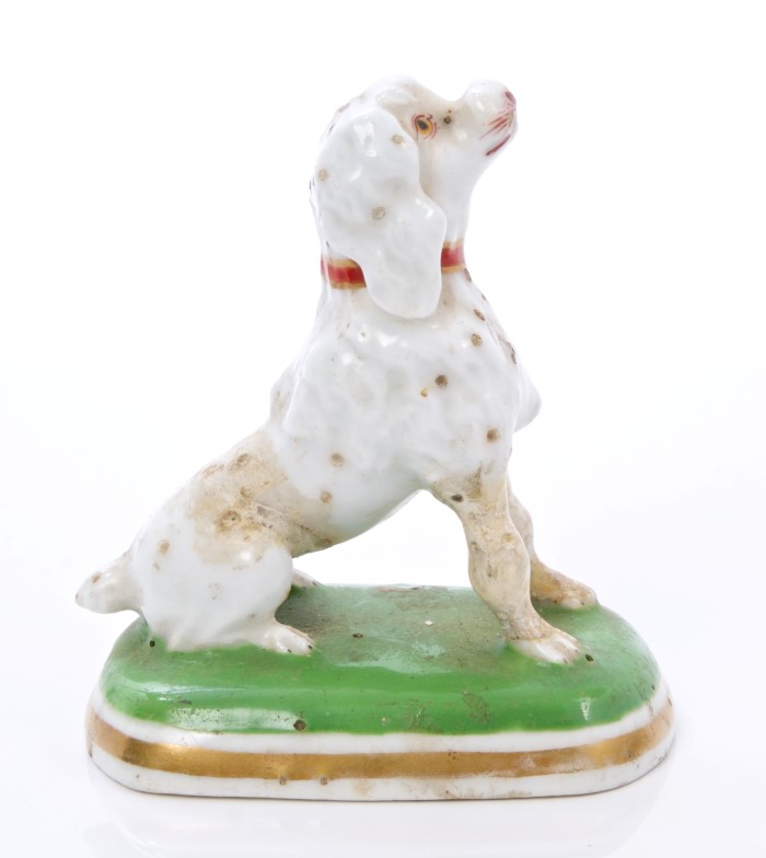 Chamberlains Worcester poodle, circa 1820, in seated pose, with red and gilt collar,