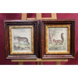 Set of four French antique hand-coloured engravings after Jacques De Seve - Le Blaireau, Le Renard,