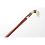 19th century carved ivory and white metal mounted Malacca cane with carved dog's head handle,