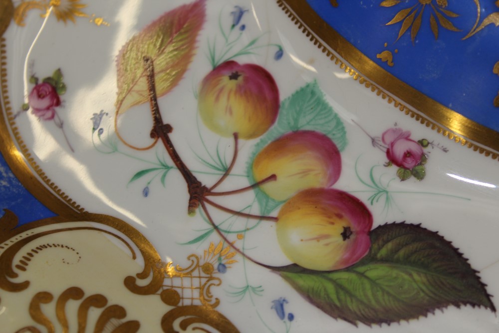 Good quality Victorian Davenport part dessert service with painted grapevine and floral sprigs - Image 10 of 19