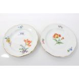 Pair late 19th century Meissen porcelain plates with polychrome painted floral sprays - underglazed