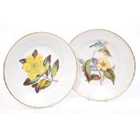 Fine pair early 19th century Derby botanical plates, finely painted with 'Large Flowered St.