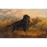 Robert Nightingale (1815 - 1895), pair oils on canvas - gun dogs in landscape,