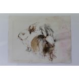 Ian Armour-Chelu (1928 - 2000), ink and wash sketch of two rabbits, signed and dated 1969, unframed,