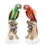 Pair large late 19th century German porcelain Macaw parrots with polychrome decoration,