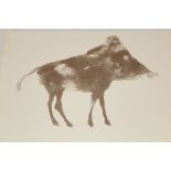 Dame Elisabeth Frink (1930 - 1993), lithograph - 'Boar', from the Wild Animals series, unsigned,