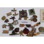 Collection of First World War and later cap and collar badges - including Norfolk, Suffolk,