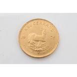 South Africa - Gold Krugerrand - 1975 (1 coin)