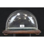 Victorian glass display dome on wooden base with turned bun feet,