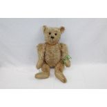 Teddy Bear - pale blond mohair, shaved snout, small hump elongated paws,