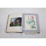 Books - Fine William IV leather bound album, inscribed 'Mary Ann Hawk, March 1835',