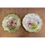 Pair of good quality Royal Doulton plates with hand-painted floral decoration, signed - D.