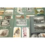 Postcards - in five albums - including cats, topography, greetings, hold-to-light snow scene 1906,