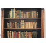 Decorative leather bindings - largely literature and history (95 books)