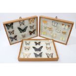 Three glazed display cases containing an arrangement of Butterflies from India, China and Malaya,